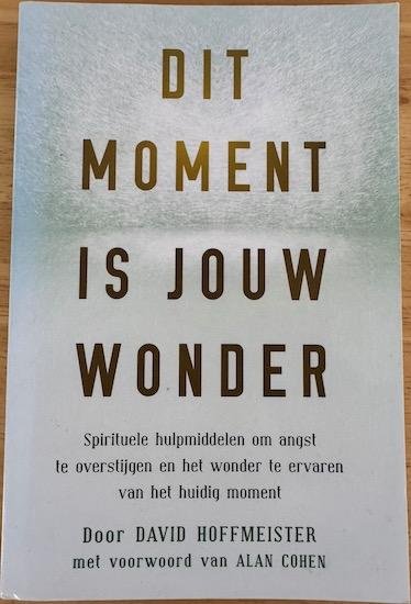 Hoffmeister, David - DIT MOMENT IS JOUW WONDER.  Spirituele hulpmiddelen om angst te overstijgen en het wonder te ervaren van het huidige moment.