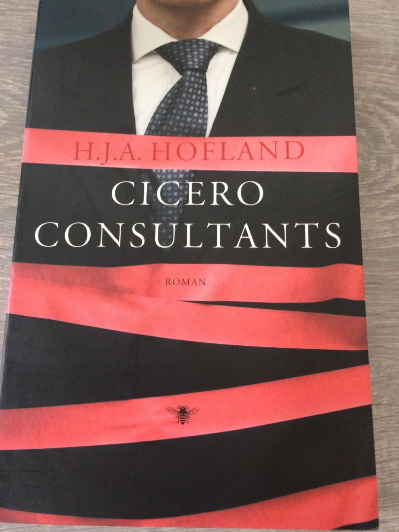 Hofland - Cicero Consultants / en scenario
