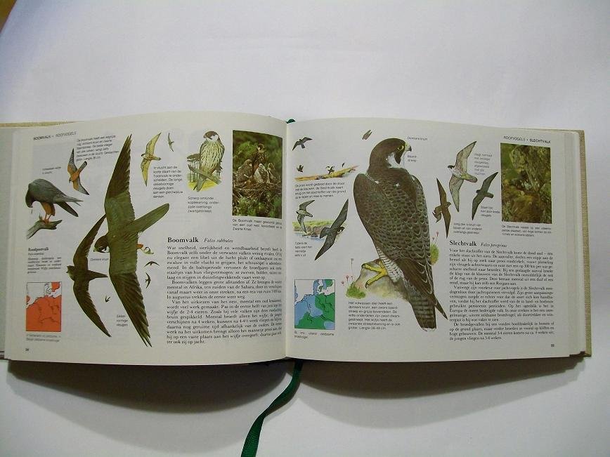  - Vogels van West- en Midden-Europa. Veldgids voor de natuurliefhebber / druk 1