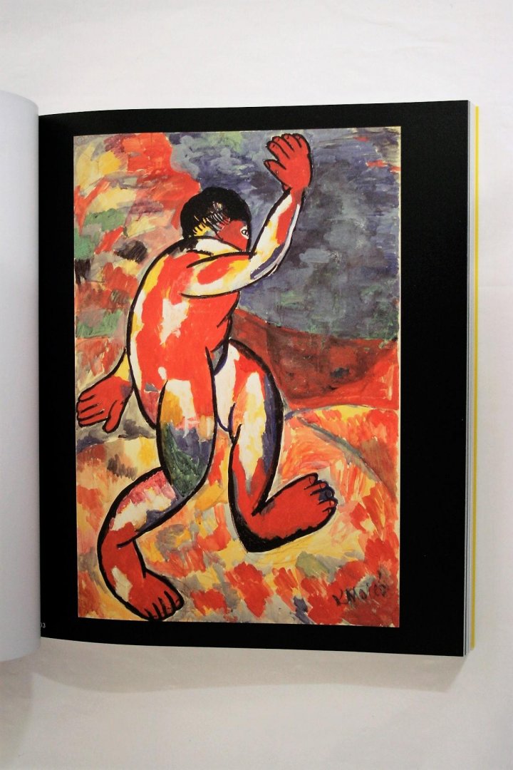 Diversen - Nieuw: De oase van Matisse