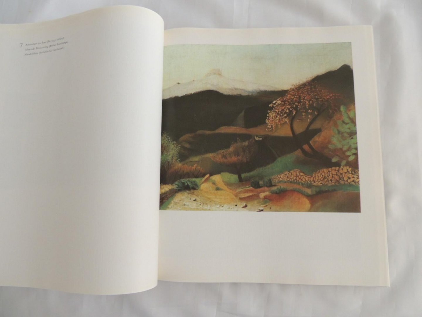NÉMETH, LAJOS (INTRODUCTION, SECTION OF PAINTINGS AND TEXT)  nemeth nemet -     Tivadar Csontváry Kosztka - maurice elliott - irene kolbe / istvan petras - Csontvary Kosztka Tivadar