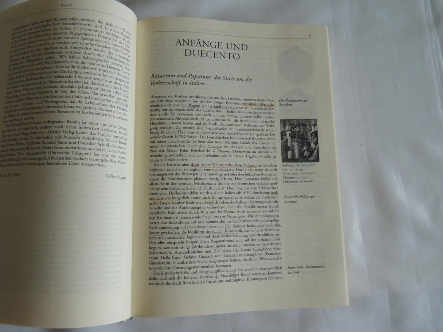 Kapp, Volker (Hrsg.) - Unter Mitarbeit von Hans Felten, Frank-Rutger Hausmann, Franca Janowski u.a. - Italienische Literaturgeschichte  Literatur geschichte