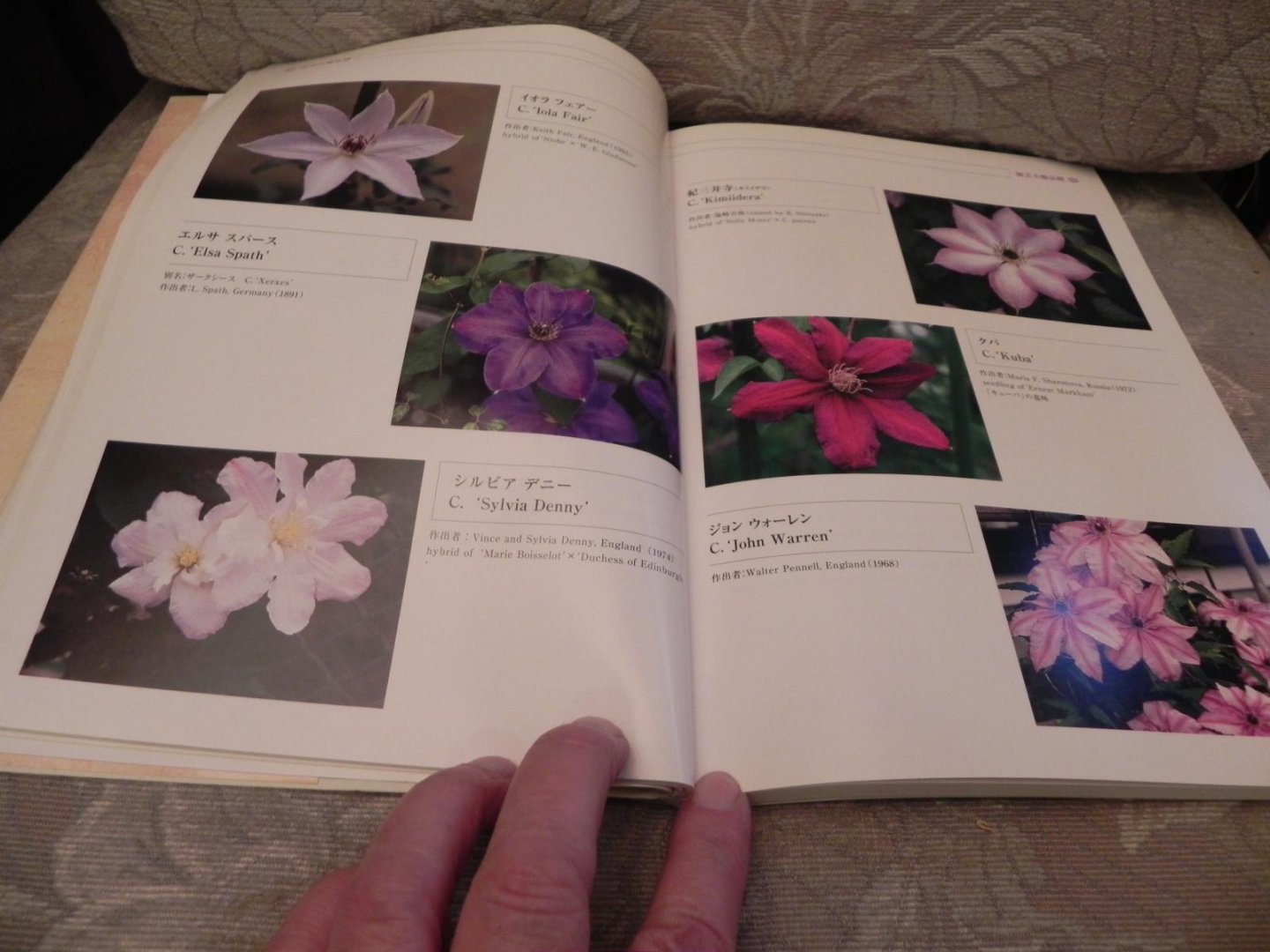 Satomi Kuriyama  - Yoshiaki Aihara - Photographs of Clematis flowers