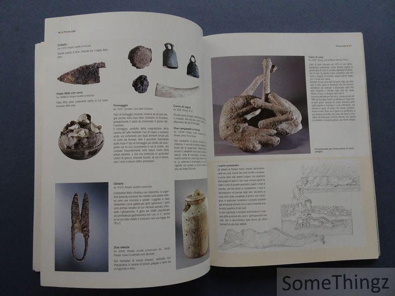 Grete Stefani, Anna Maria Sodo, Lorenzo Fergola. - Uomo e ambiente nel territorio vesuviano: guida all?Antiquarium di Boscoreale.
