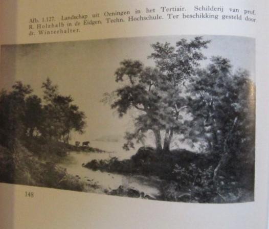 Boerhave Beekman - Hout in alle tijden