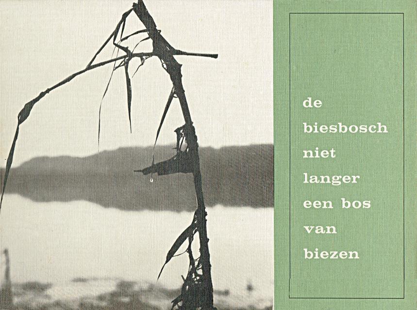 Rijkhoek, C.W. - De Biesbosch niet langer een bos van biezen