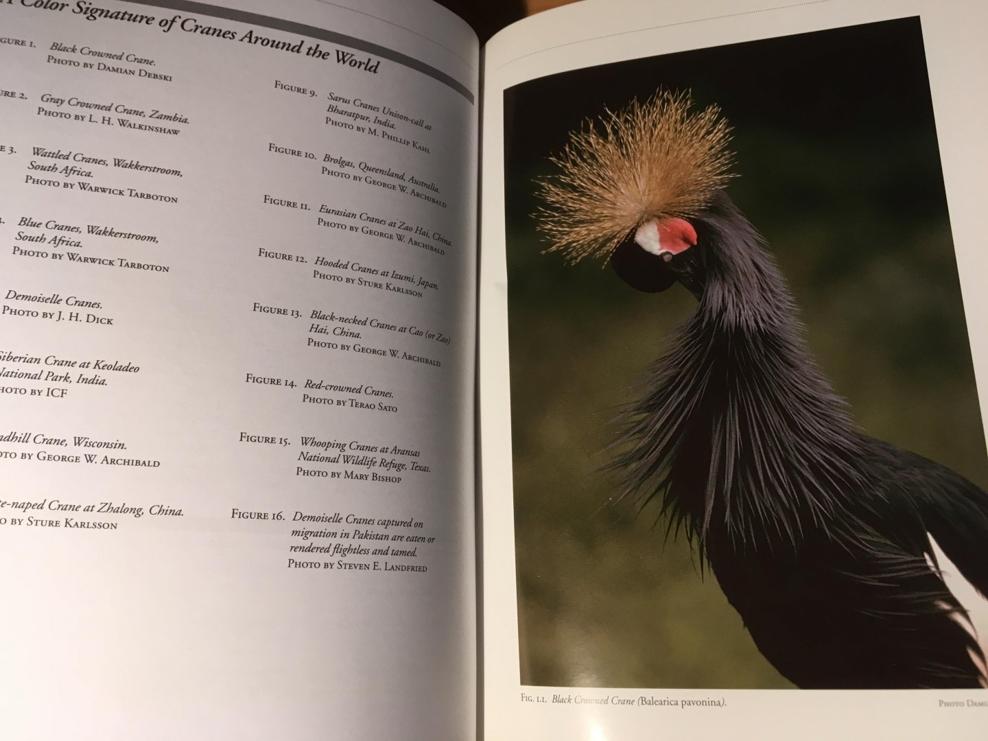 Ellis, Gee, Mirande - Cranes : The Biology, Husbandry and Conservation