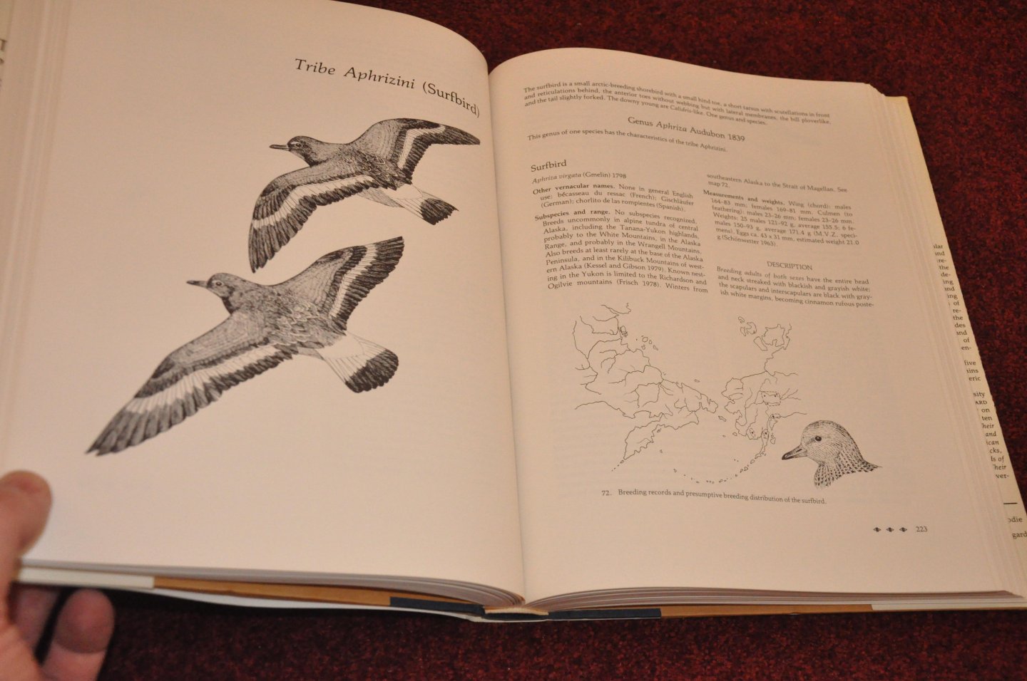 Johnsgard, Paul A. - The Plovers, Sandpipers, and Snipes of the World
