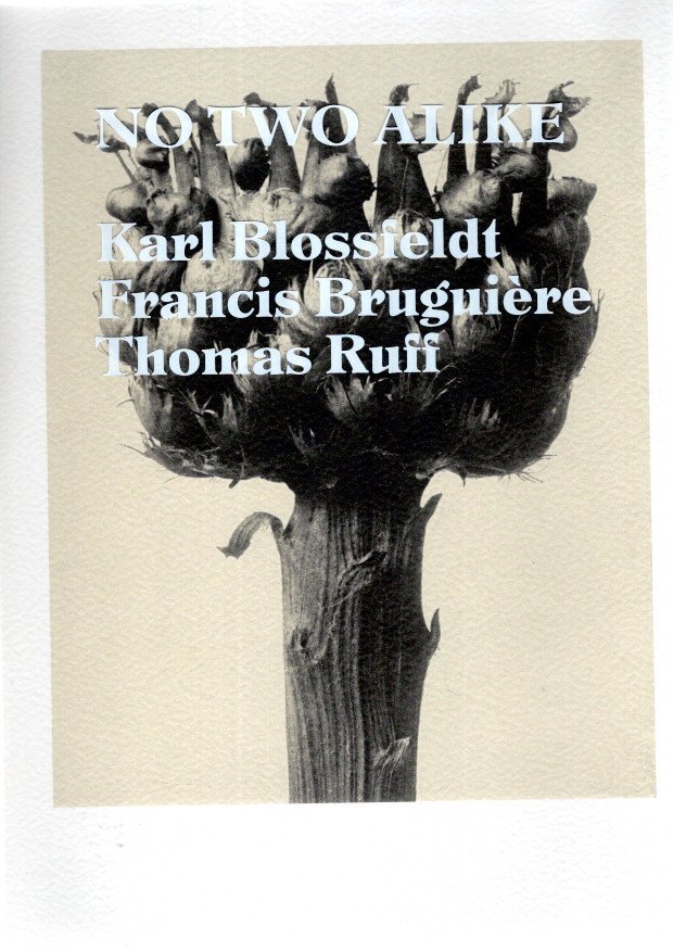 STUMP, Ulrike Meyer [Ed.] - No Two Alike: Karl Blossfeldt, Francis Bruguière, Thomas Ruff. - [New].