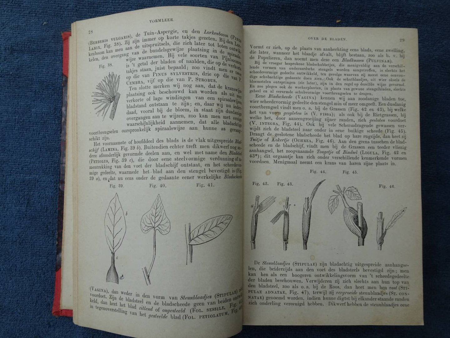 Seubert, Moritz. - De plantenkunde, algemeen bevattelijk voorgesteld door dr. Moritz Seubert.