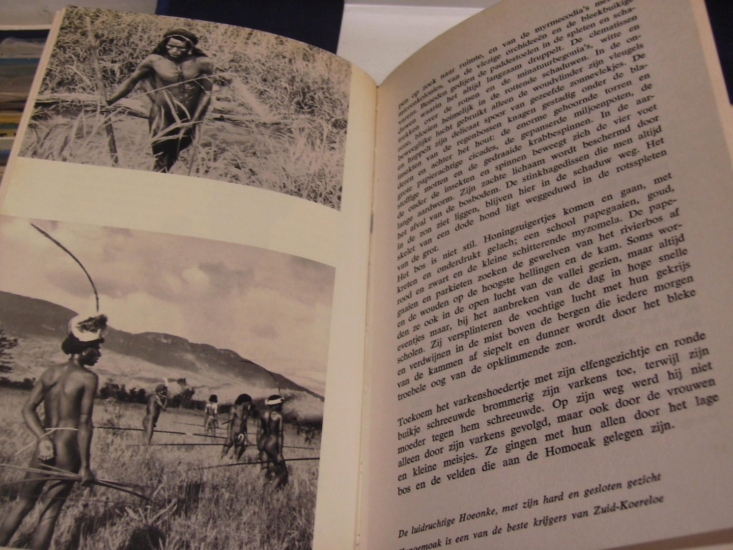 Matthiessen, Peter - De zonen van Nopoe een kroniek uit het steentijdperk