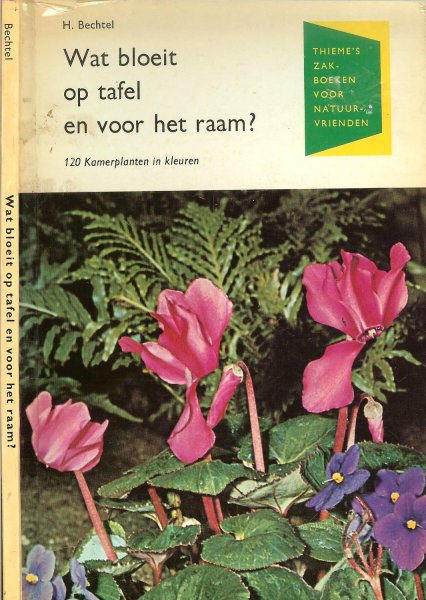 Bechtel, H  .. met 53 tekstafbeeldingen van Sigrid Haag  en vertaald door J. Mart. Duiven - Wat bloeit op tafel en voor het raam ? - 120 kamerplanten in kleuren