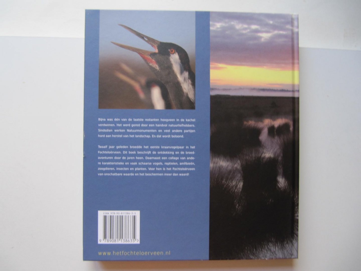 Herman Feenstra en Hasrke Kuipers - Wat je met rust laat kan groeien - Het Fochteloerveen