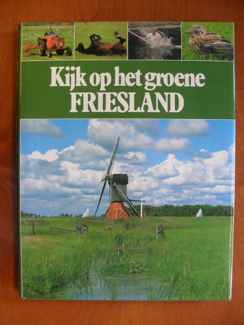 Dijkhuizen Sietzo - Kijk op het groene Friesland
