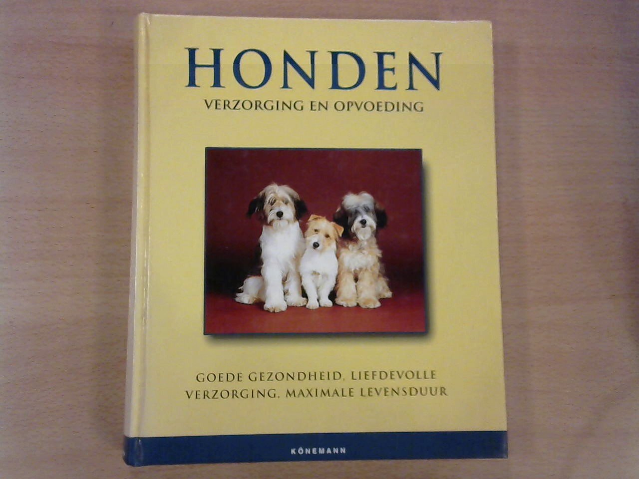 Hoffman, Mathew (samengesteld) - Honden, verzorging en opvoeding