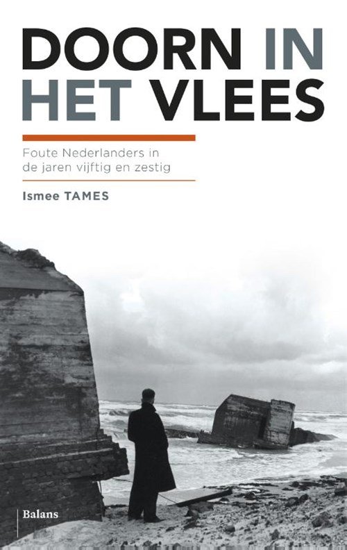 Ismee Tames - Doorn in het vlees