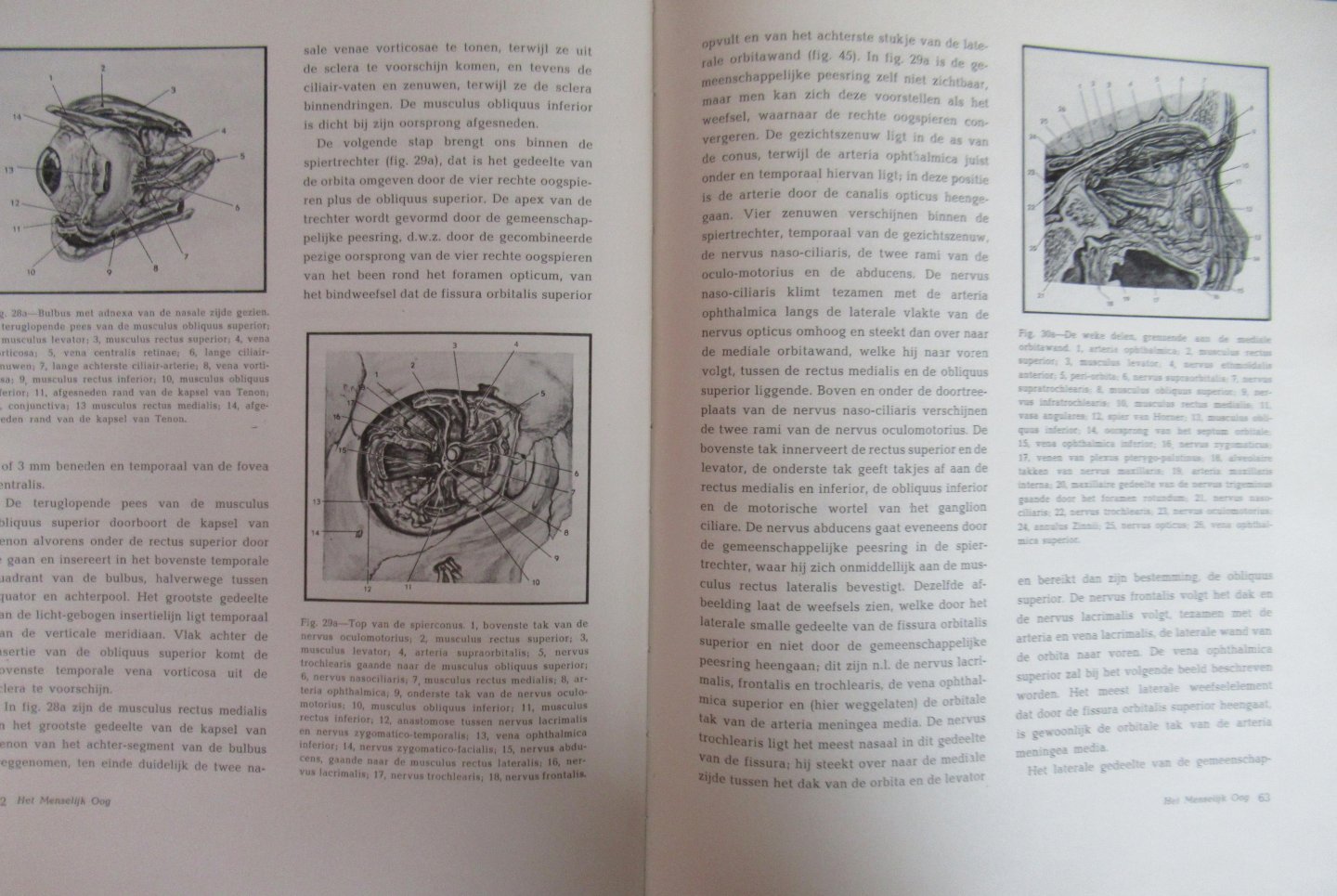 Kronfeld, Peter C.   M.D. - Hugh, Gladys ( illustraties) - Het menselijk oog in transparante illustraties