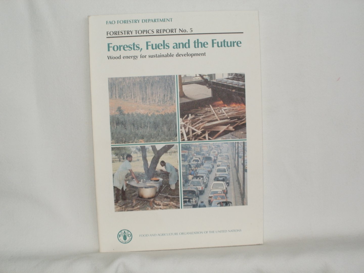 Lamb, Robert - Forests, Fuels and the Future. Wood energy for sustainable development. Forestry Topics Report no. 5