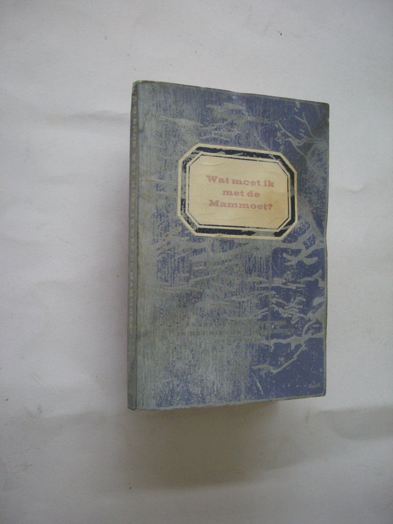 Brok, M.F.A. - Wat moet ik met de mammoet? Praktische wegwijzer in het nieuwe voortgezet onderwijs