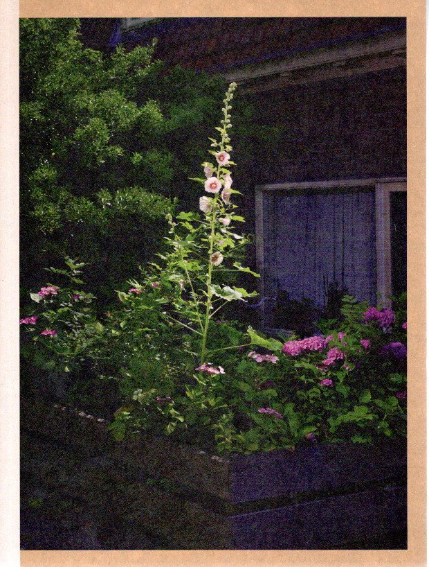 WOUDA, Raimond - Raimond Wouda - Polder VIII - Tuindorp Oostzaan, Amsterdam 1920 - 2020. [New].