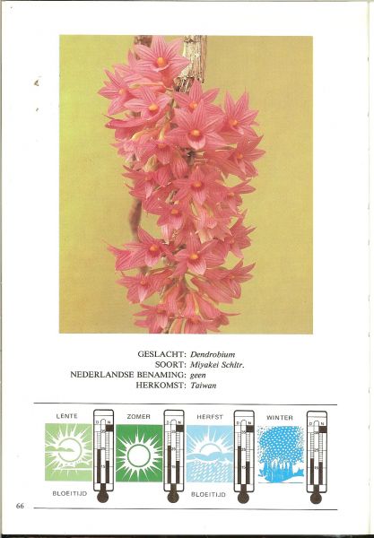 Paul, Michel .. Voorwoord H.G. Kronenberg ..  Rijk geillustreerd  in kleur - Orchideeën in kleur. Het kweken van orchideeën in kamer, kas en tuin.