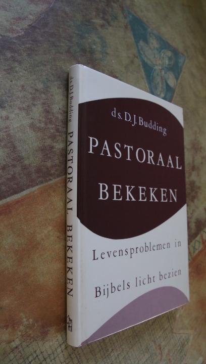 Budding, Ds. D.J. - Pastoraal bekeken - Levensproblemen in Bijbels licht bezien