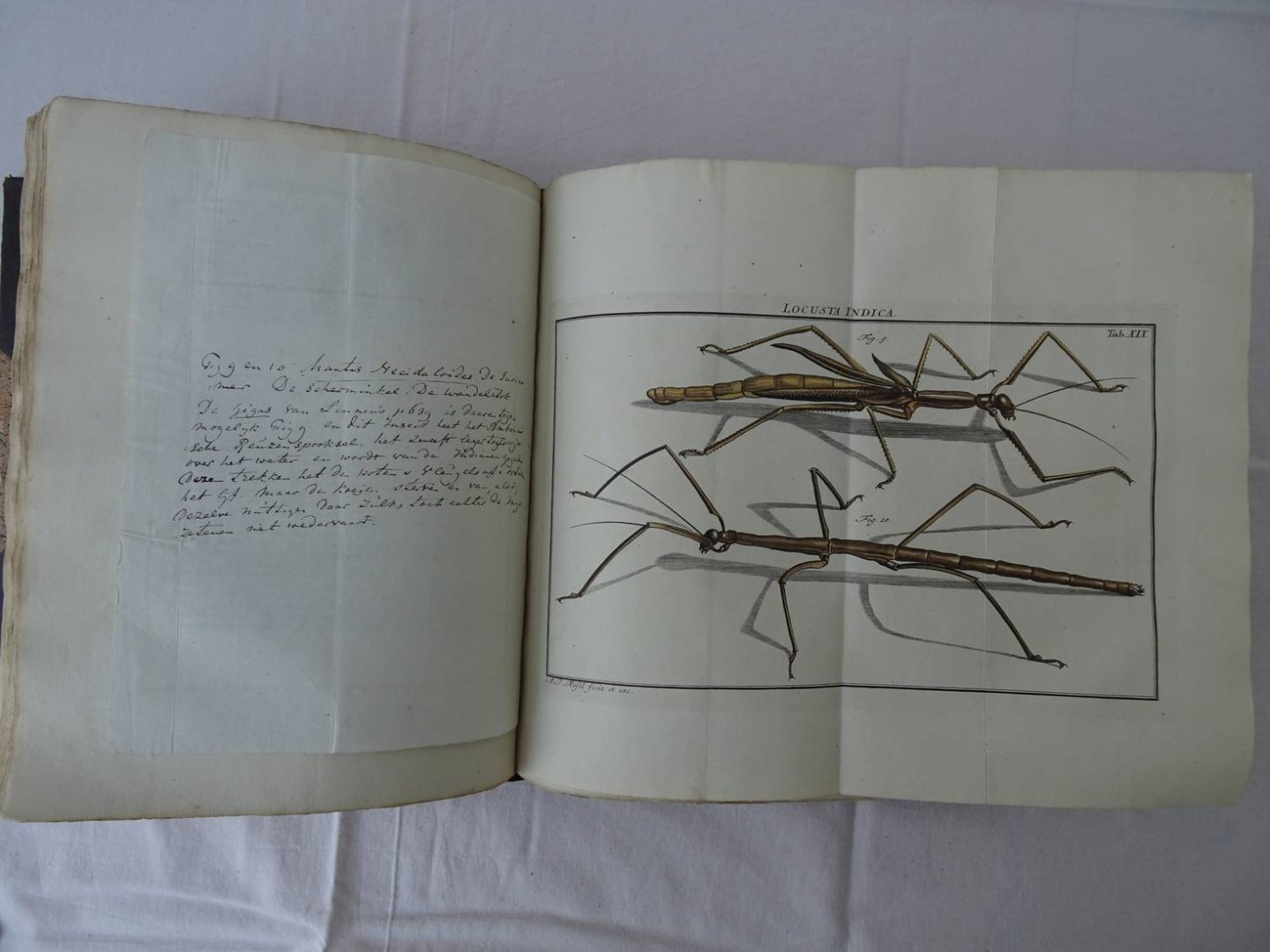 Rösel von Rosenhof, August Johan and C.FC. Kleemann. - De natuurlyke historie der insecten. Voorzien met naar `t Leven getekende en gekoleurde Plaaten. Volgens eigen ondervindling beschreeven, door de Heer August Johann Rösel, van Rosenhof, Miniatuur-Schilder. Met zeer nutte en fraaie Aanmerkingen...