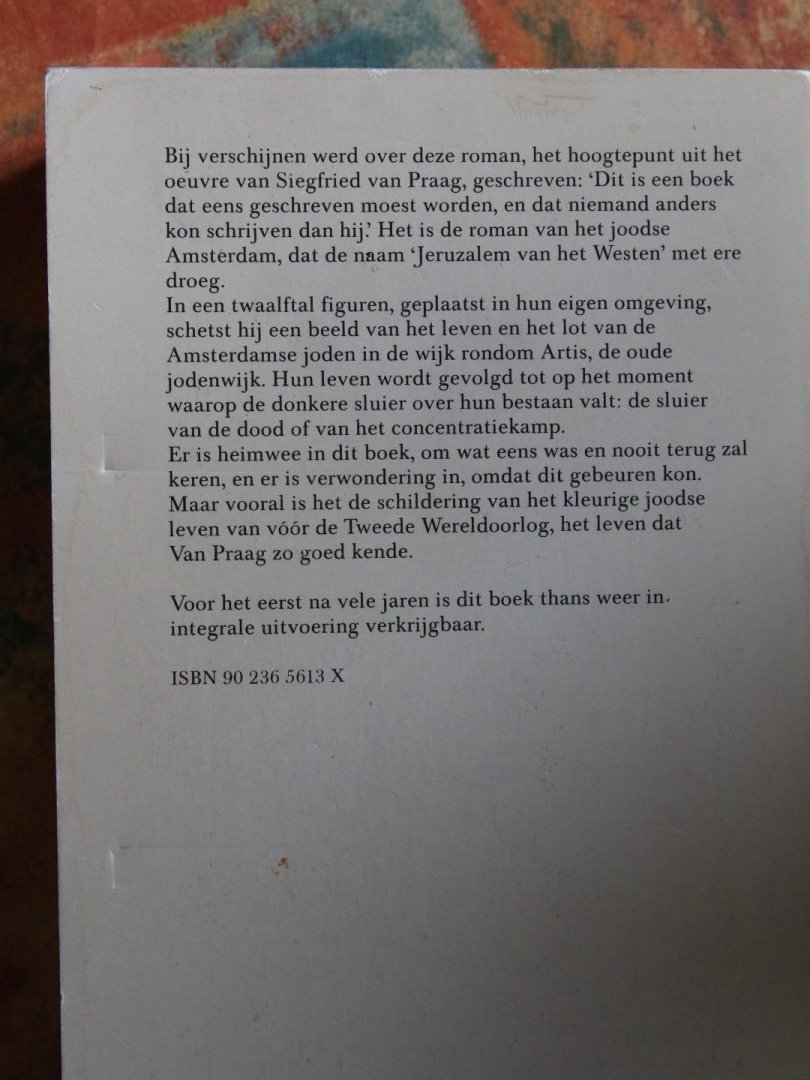 Praag, Siegfried E. van - Jeruzalem van het Westen