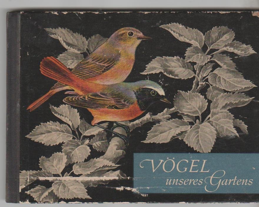  - Vogel unseres Gartens