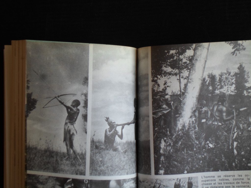 Villeminot, J.et P. - La Nouvelle-Guinée, 700.000 Papous survivante de la préhistoire