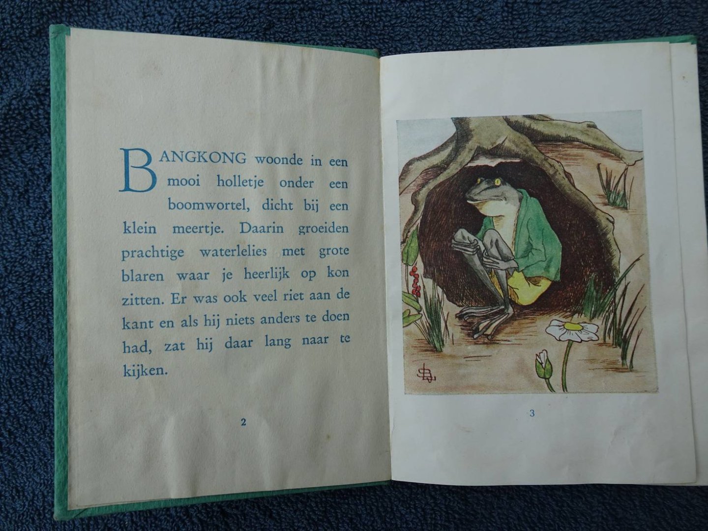 Suchtelen-Leembruggen, L. van. - Het Kikkerboekje. De Geschiedenis van Kodok Bangkong.
