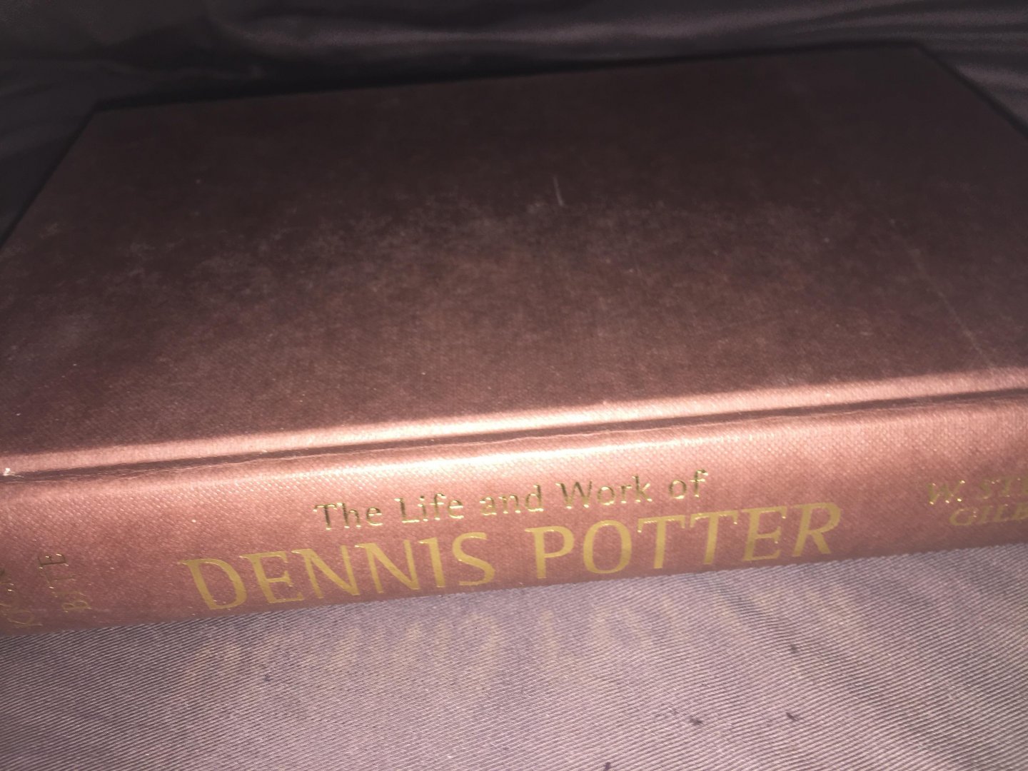 Stephan Gilbert - Flight and kick and bite