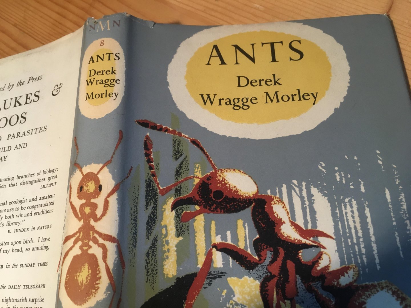 Wragge Morley, Derek - mieren - Ants
