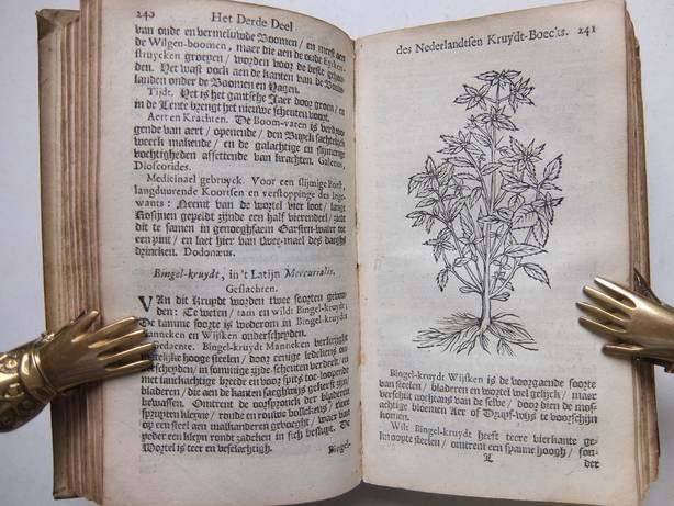 Nylandt, Petrus. - De Nederlandtse herbarius, of kruydt-boeck, beschrijvende de geslachten / gedaente / plaetse / tijt / oeffening / aert / krachten / en medecinael gebruyck van alderhande boomen / heesteren /boom-gewassen / kruyden / en planten / die in de Nede...