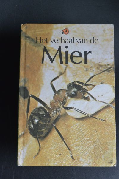 John Paull (tekst)  Ian Fry (illustraties) - Het verhaal van de mier