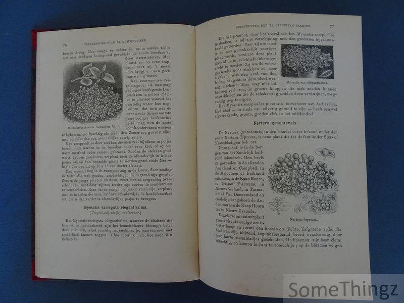 Nestor Seghers. - De korfvormige bloemperken (corbeilles-parterres). Verhandeling over de musiefcultuur.