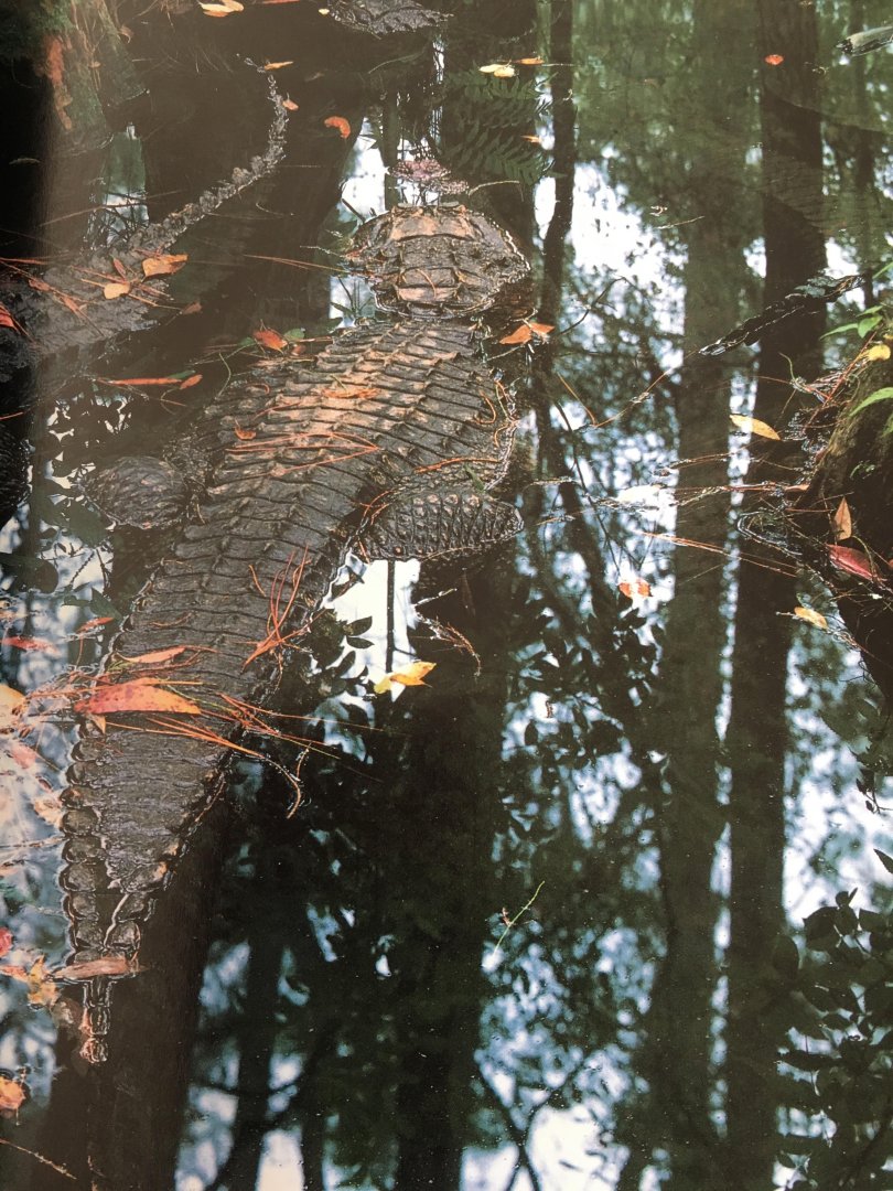 Michael Parfit - Discover Amerika, A scenic tour of the fifty states