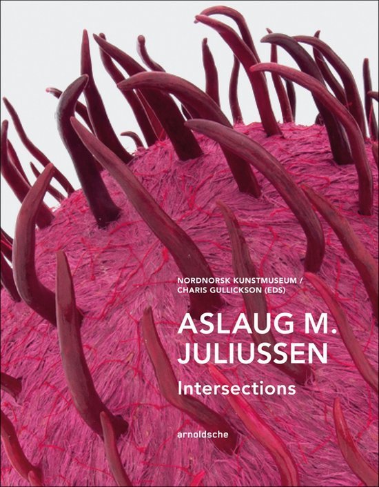 Juliussen, Aslaug M [et..al]. - Aslaug M. Juliussen : intersections.