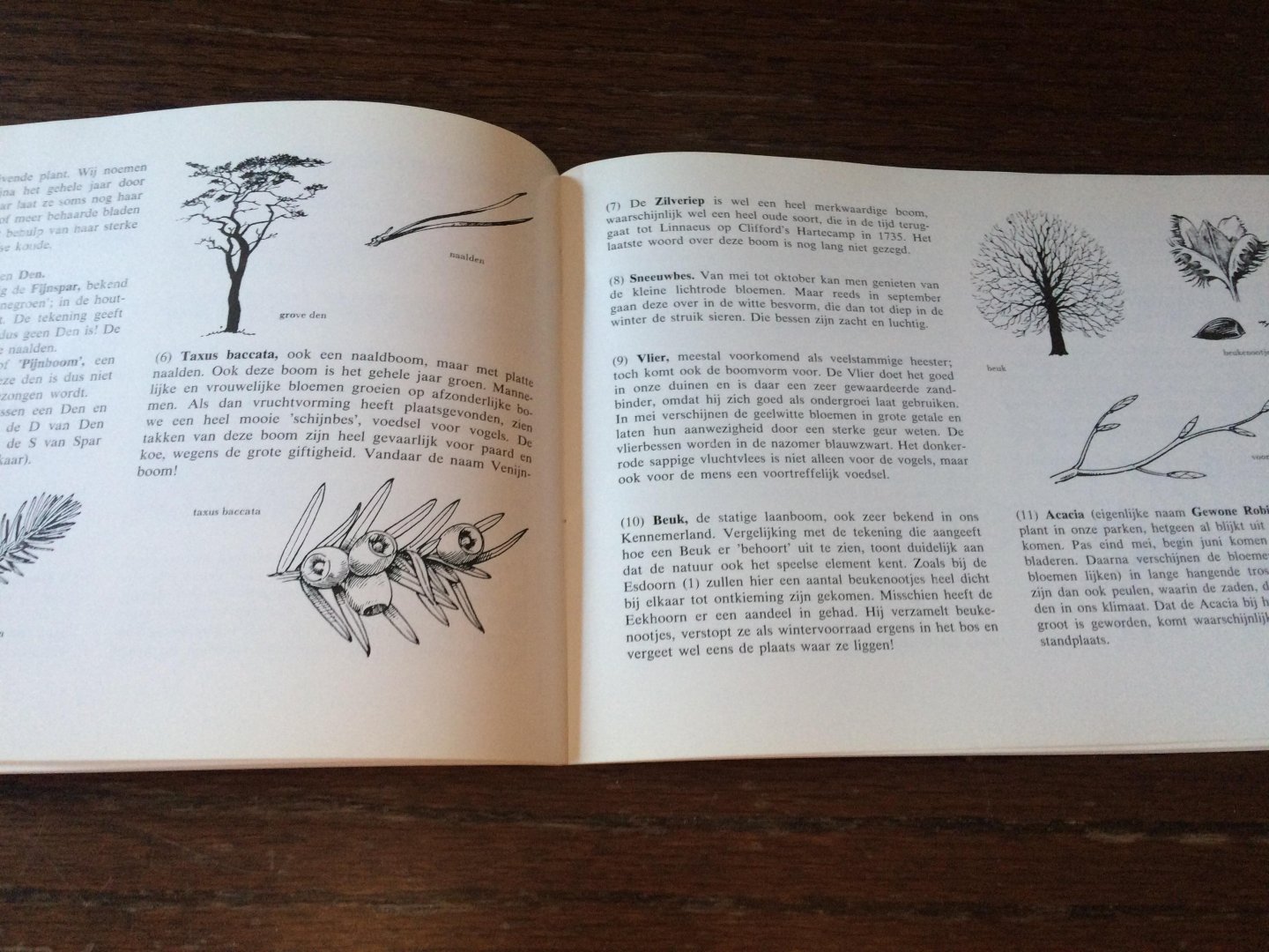 Evelein - de verkenning door groenendaal