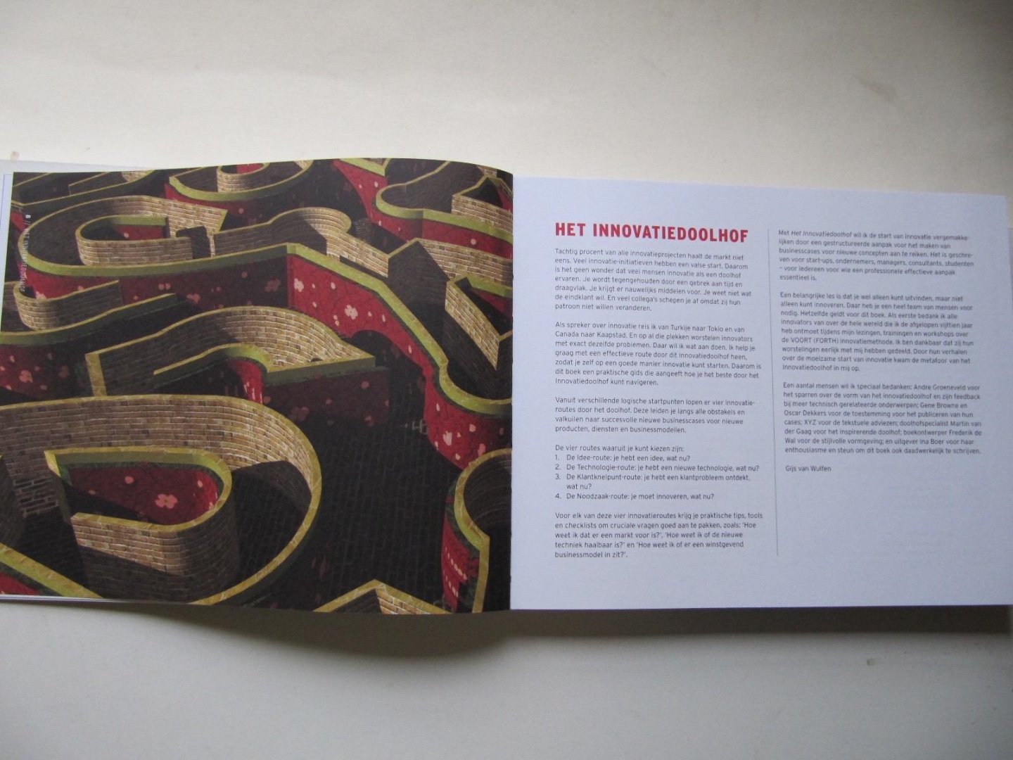 Wulfen, Gijs van - Het innovatiedoolhof / 4 Routes naar een succesvolle new businesscase