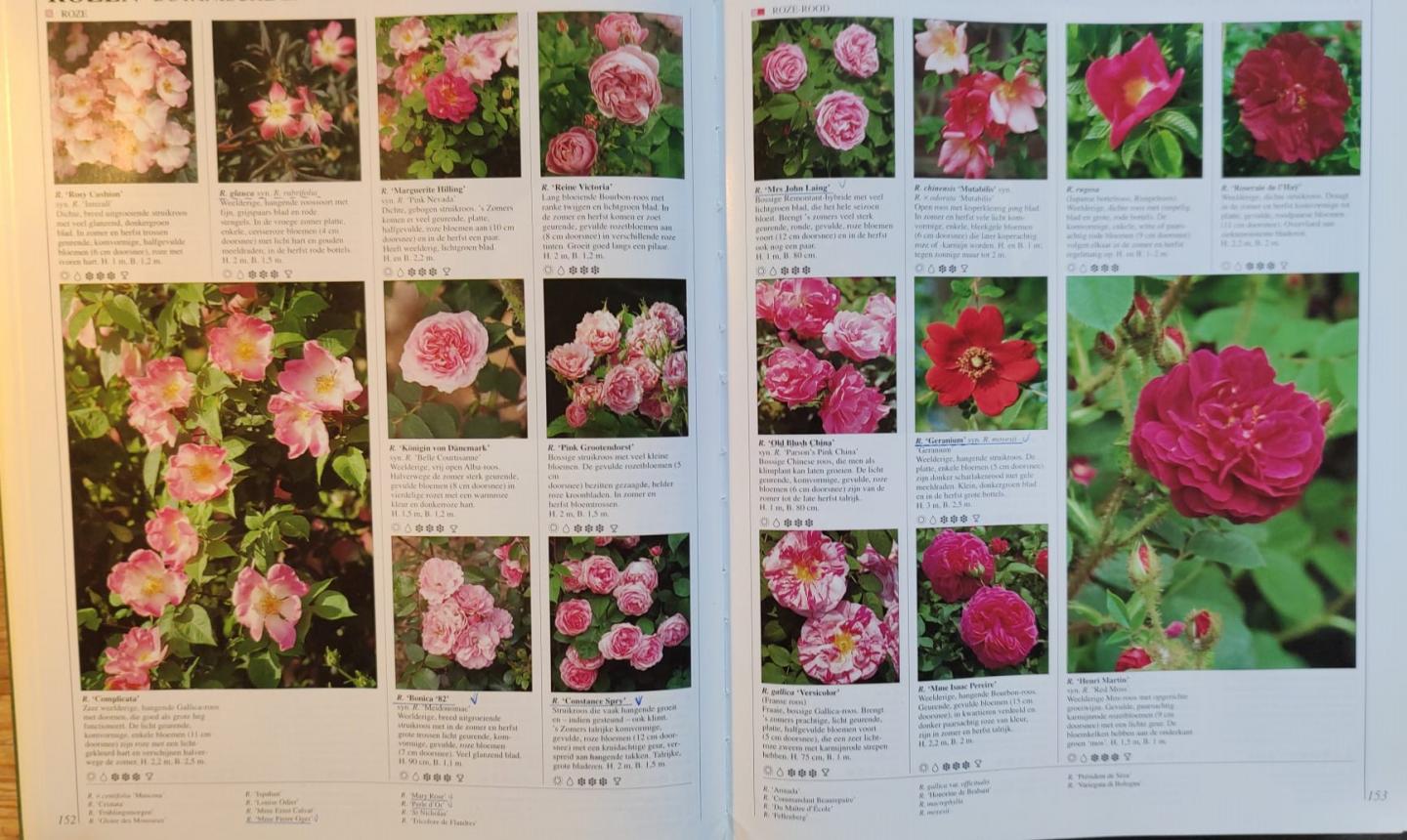 Brickell, Christopher - Atrium tuinplantenencyclopedie / druk 8
