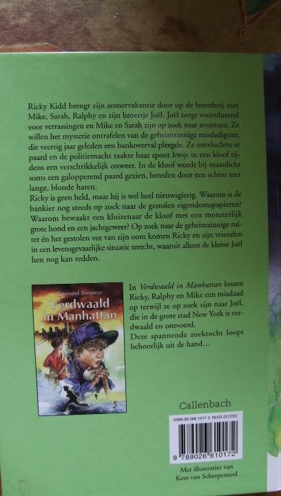 Brouwer, Sigmund - Een schim uit het verleden