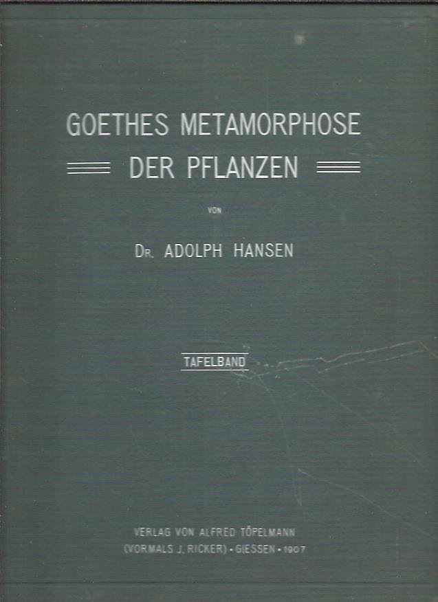 GOETHE - Adolph HANSEN - Goethes Metamorphose der Pflanzen. Geschichte einer Botanischen Hypothese. I - Text. II - Tafelband mit 9 Tafeln von Goethe und 19 Tafeln vom Verfasser.