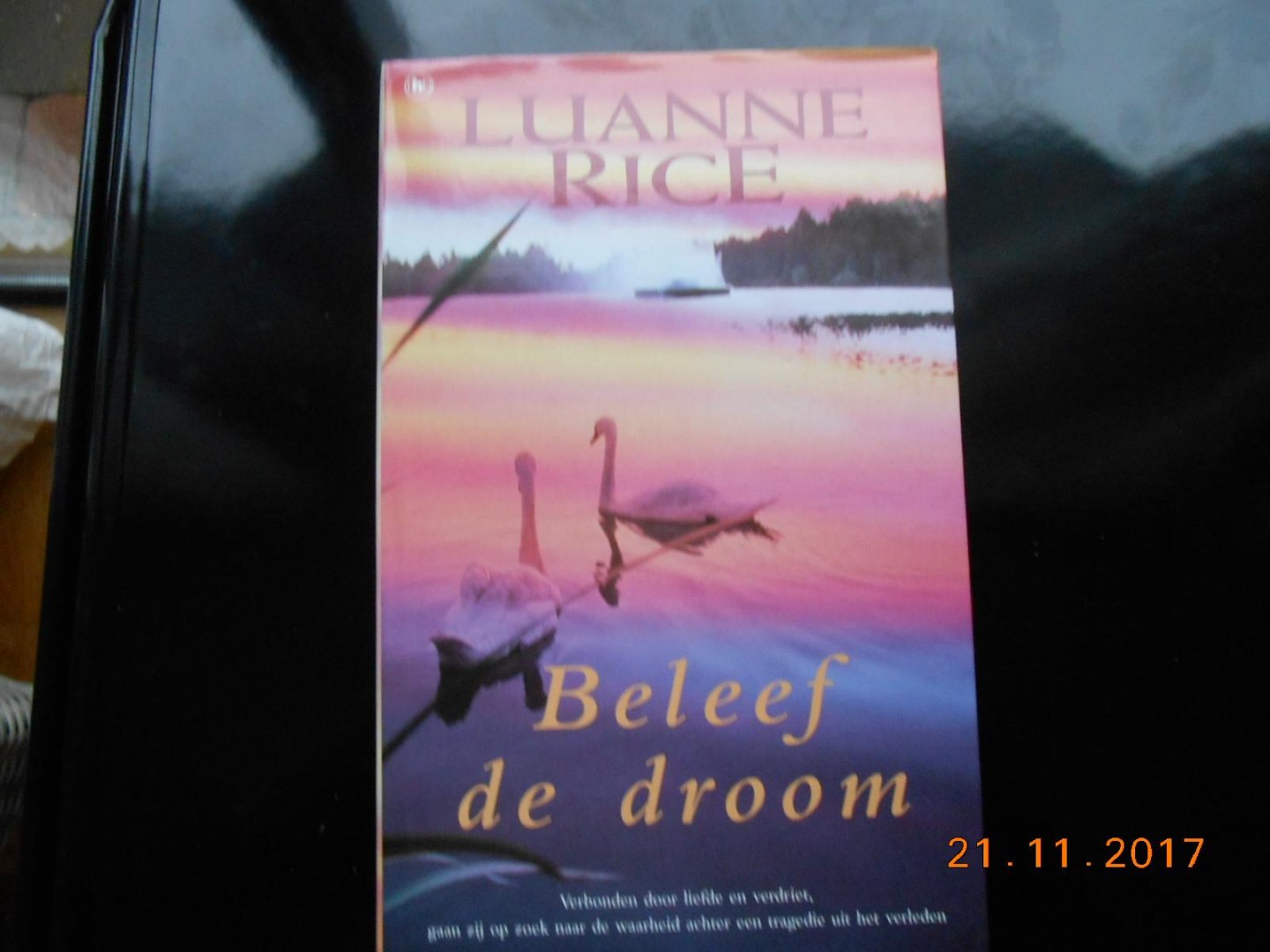 Luanne Rice - Beleef De Droom
