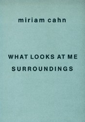 Miriam Cahn - What looks at me surroundings