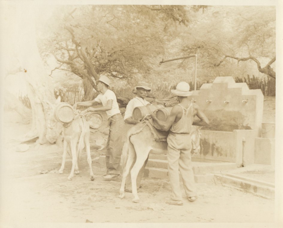 THOMPSON, M. - Curaçao. Donkeys as watercarriers and men by a water supplyplace.
