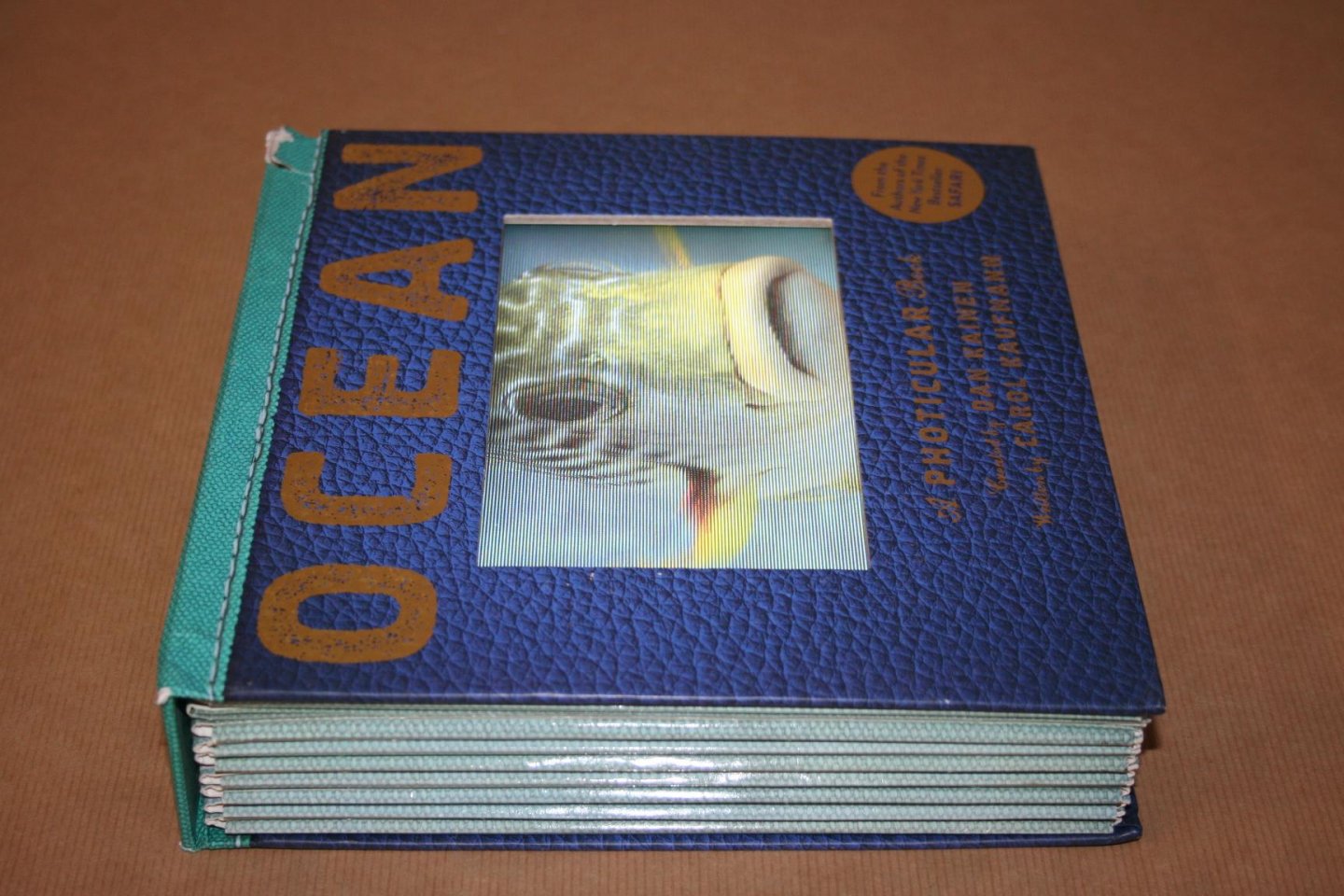 Dan Kainen & Carol Kaufmann - Ocean - A photicular book