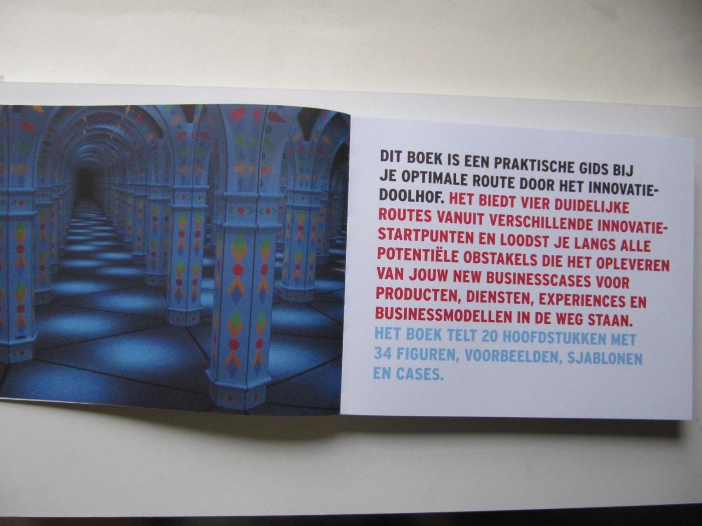 Wulfen, Gijs van - Het innovatiedoolhof / 4 Routes naar een succesvolle new businesscase