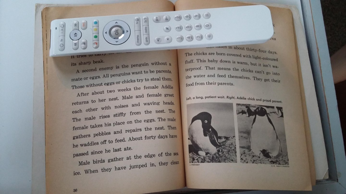 Lauber, Patricia - Junior Science Book of Penguins