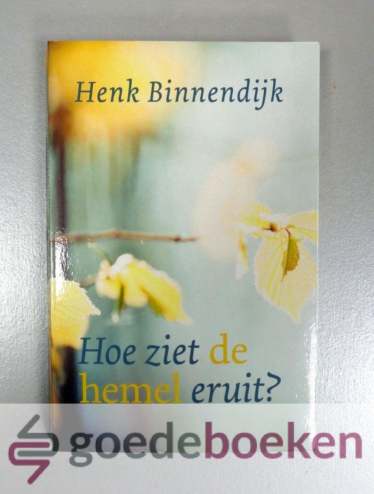 Binnendijk, Henk - Hoe ziet de hemel eruit?
